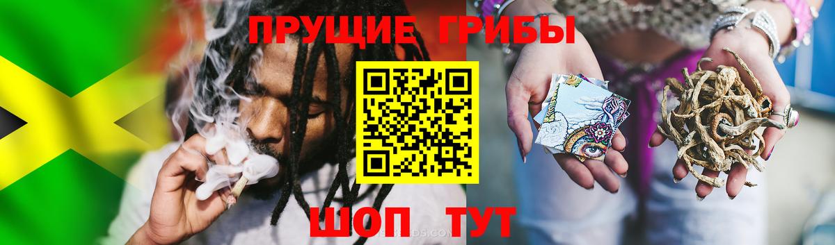 Галлюциногенные грибы Magic Shrooms  Вход с VPN  Псилоцибиновые грибы MAGIC MUSHROOMS  наркота  Шахты 